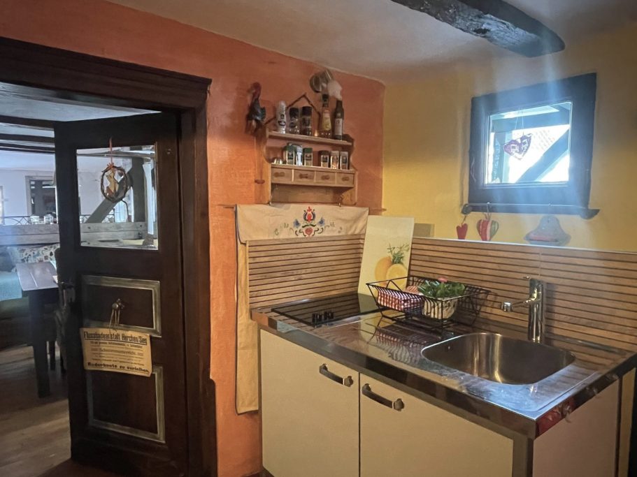 Koch-/Spülbereich mit Blick zur Terrasse